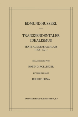 Cover image: Transzendentaler Idealismus 9781402018169