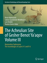 Cover image: The Acheulian Site of Gesher Benot  Ya‘aqov  Volume III 9789400721586