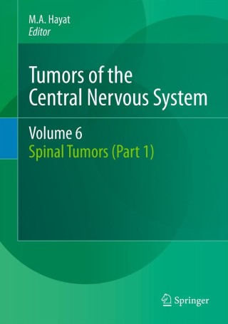 Immagine di copertina: Tumors of the Central Nervous System, Volume 6 1st edition 9789400728653