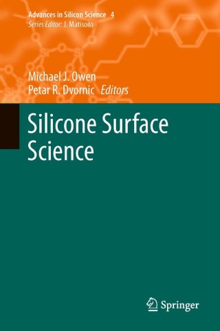 Imagen de portada: Silicone Surface Science 1st edition 9789400738751
