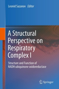 Imagen de portada: A Structural Perspective on Respiratory Complex I 1st edition 9789400741379