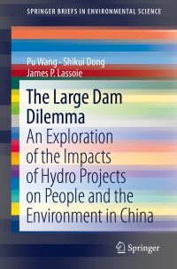 Cover image: The Large Dam Dilemma 9789400776296