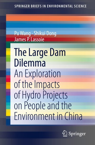 صورة الغلاف: The Large Dam Dilemma 9789400776296