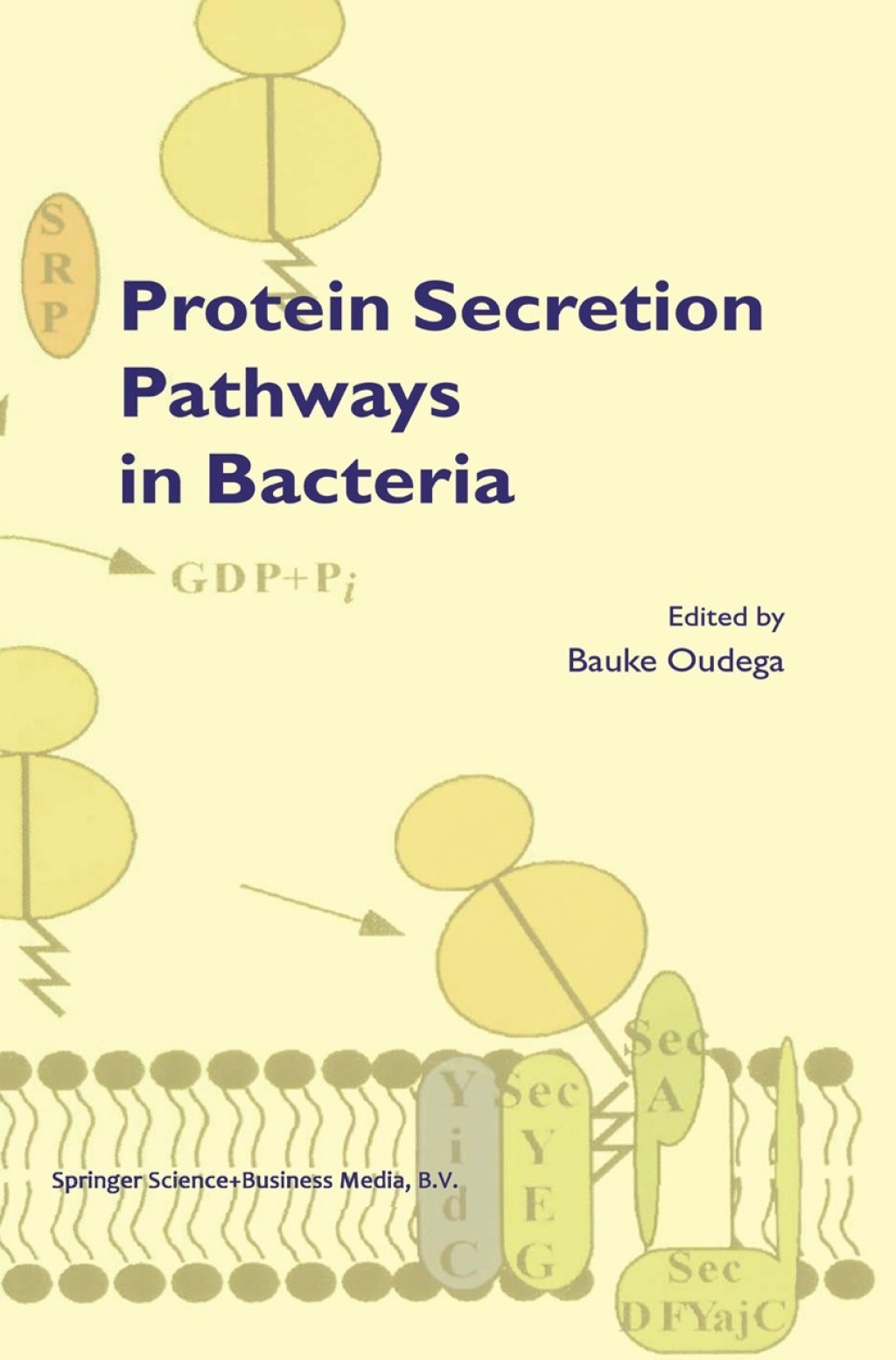 Protein Secretion Pathways in Bacteria 1st Edition