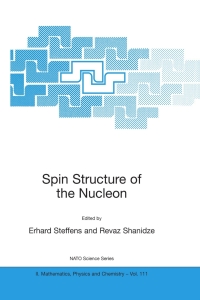 Imagen de portada: Spin Structure of the Nucleon 1st edition 9781402014406