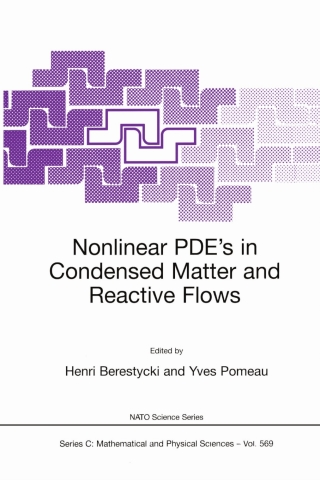 Imagen de portada: Nonlinear PDE’s in Condensed Matter and Reactive Flows 1st edition 9781402009723