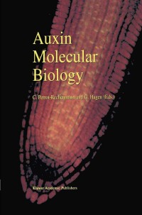 Imagen de portada: Auxin Molecular Biology 1st edition 9781402006463