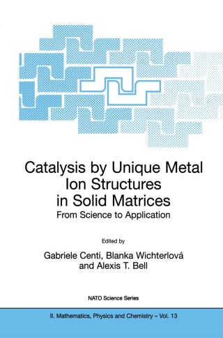 Cover image: Catalysis by Unique Metal Ion Structures in Solid Matrices 1st edition 9789401007825