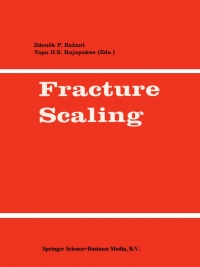Immagine di copertina: Fracture Scaling 1st edition 9789401146593