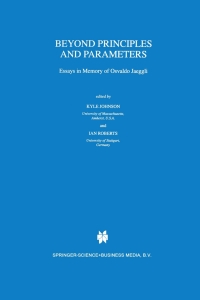 Immagine di copertina: Beyond Principles and Parameters 1st edition 9780792354987