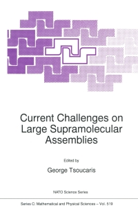Cover image: Current Challenges on Large Supramolecular Assemblies 1st edition 9780792353140