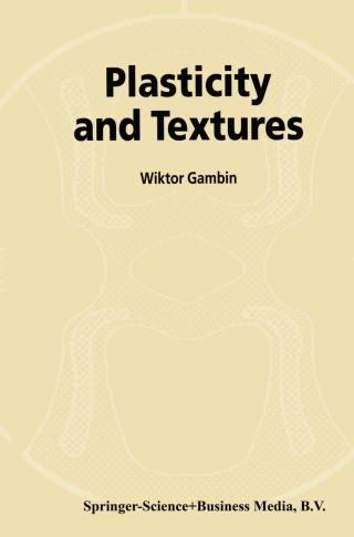 Imagen de portada: Plasticity and Textures 9781402002120