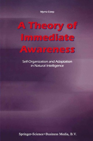 Cover image: A Theory of Immediate Awareness 9781402011863