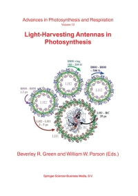 Imagen de portada: Light-Harvesting Antennas in Photosynthesis 1st edition 9780792363354