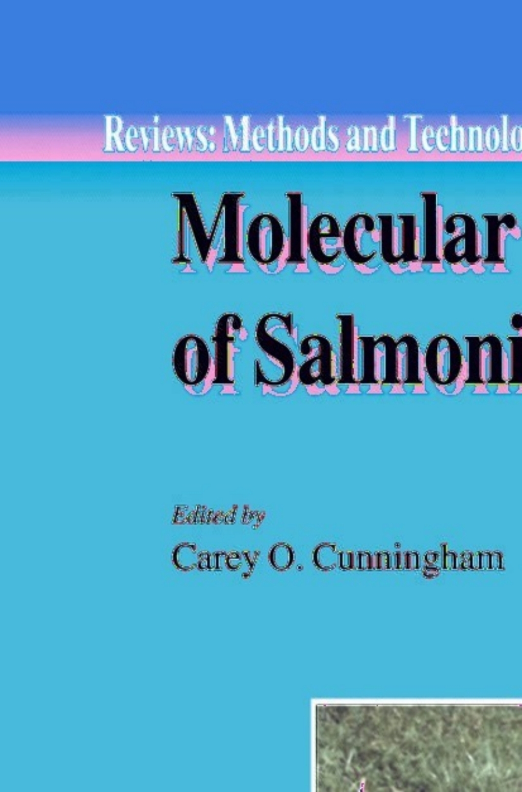Molecular Diagnosis of Salmonid Diseases 1st Edition