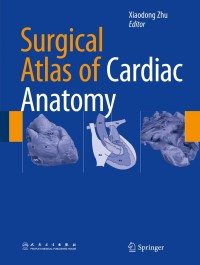 Titelbild: Surgical Atlas of Cardiac Anatomy 9789401794084