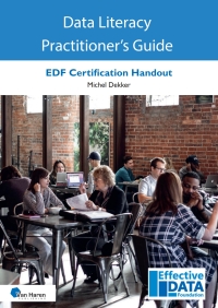 Cover image: Data Literacy Practitioner's Guide 1st edition 9789401811316