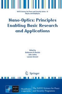 Immagine di copertina: Nano-Optics: Principles Enabling Basic Research and Applications 9789402408485