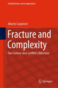 Imagen de portada: Fracture and Complexity 9789402420241