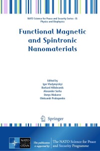 Titelbild: Functional Magnetic and Spintronic Nanomaterials 9789402422535