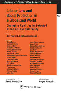 Imagen de portada: Labour Law and Social Protection in a Globalized World 1st edition 9789403500935