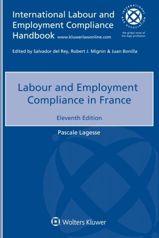 Omslagafbeelding: Labour and Employment Compliance in France 11th edition 9789403521374