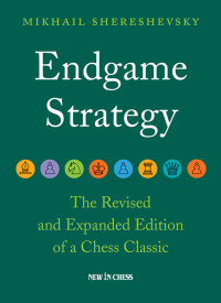 Cover image: Endgame Strategy 9789493257375