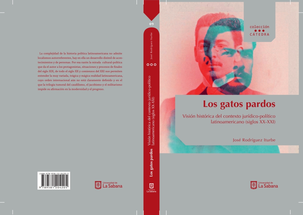 Los gatos pardos . Visión histórica del contexto jurídico-político latinoamericano (siglos XX-XXI) 1st Edition