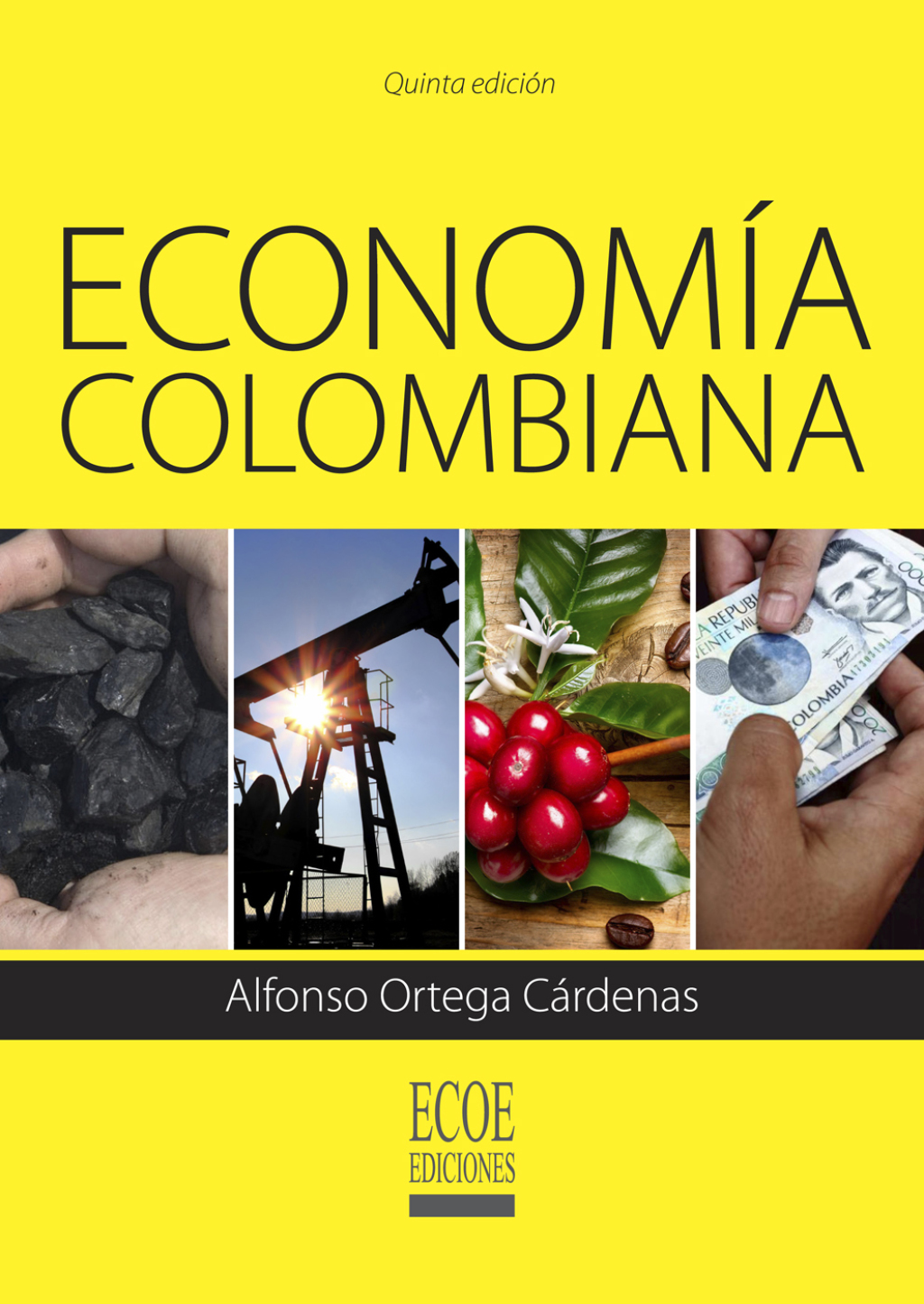Econom&iacute;a colombiana  5th Edition eBook