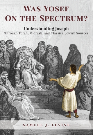 Cover image: Was Yosef on the Spectrum? 9789655242997