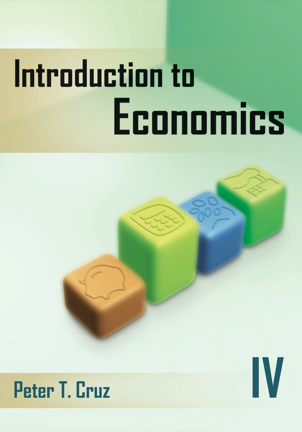 Introduction to Economics IV 1st Edition