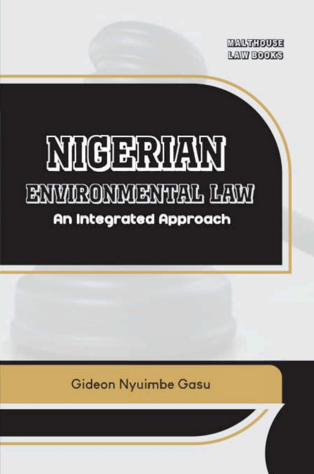 ISBN 9789786061788 product image for Nigerian Environmental Law (eBook) | upcitemdb.com