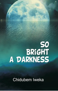 Imagen de portada: So Bright a Darkness 9789789181551