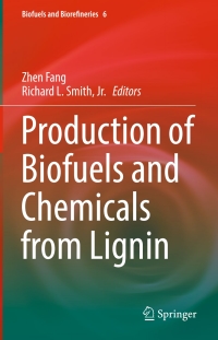 Titelbild: Production of Biofuels and Chemicals from Lignin 9789811019647