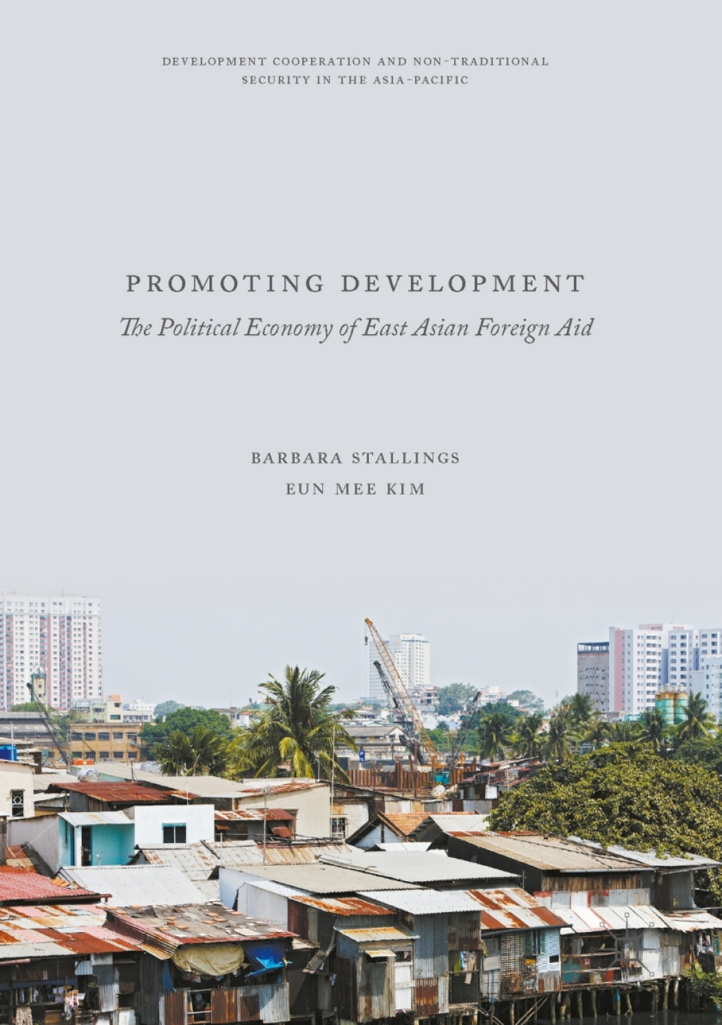 Promoting Development (eBook)