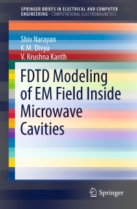 Imagen de portada: FDTD Modeling of EM Field inside Microwave Cavities 9789811034145