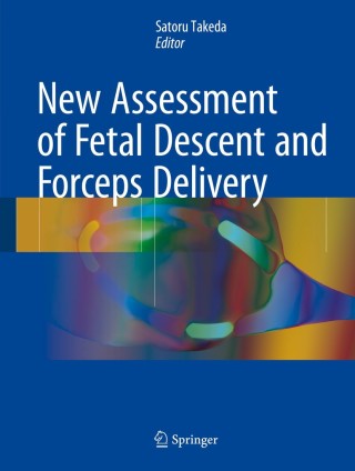 Cover image: New Assessment of Fetal Descent and Forceps Delivery 9789811047343