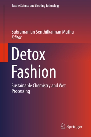 Cover image: Detox Fashion 9789811048753