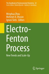 Immagine di copertina: Electro-Fenton Process 9789811064050