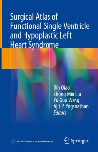 صورة الغلاف: Surgical Atlas of Functional Single Ventricle and Hypoplastic Left Heart Syndrome 9789811084348
