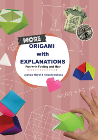 Titelbild: MORE ORIGAMI WITH EXPLANATIONS 9789811220081