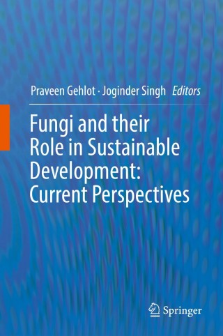 Imagen de portada: Fungi and their Role in Sustainable Development: Current Perspectives 9789811303920