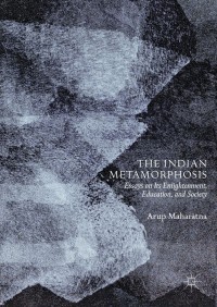 Cover image: The Indian Metamorphosis 9789811307966