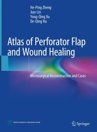 صورة الغلاف: Atlas of Perforator Flap and Wound Healing 9789811315527