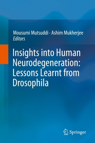 Immagine di copertina: Insights into Human Neurodegeneration: Lessons Learnt from Drosophila 9789811322174