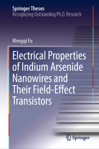表紙画像: Electrical Properties of Indium Arsenide Nanowires and Their Field-Effect Transistors 9789811334436
