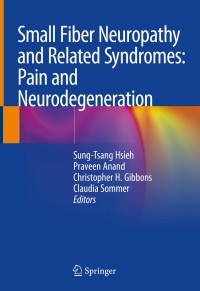 Immagine di copertina: Small Fiber Neuropathy and Related Syndromes: Pain and Neurodegeneration 9789811335457