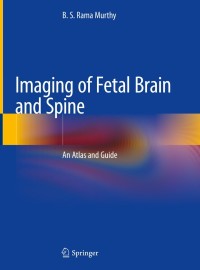Cover image: Imaging of Fetal Brain and Spine 9789811358432