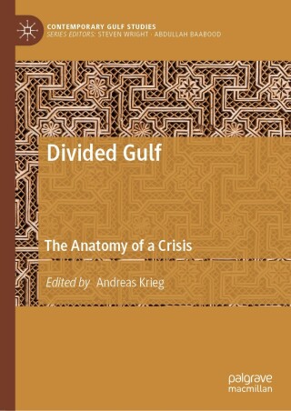 Imagen de portada: Divided Gulf 9789811363139