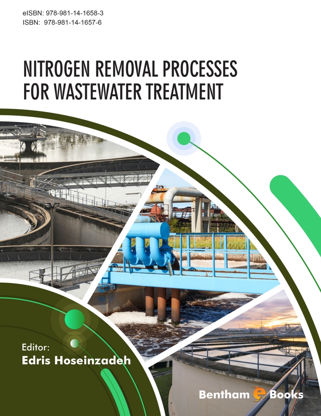 Nitrogen Removal Processes for Wastewater Treatment 1st Edition